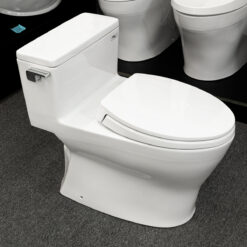 Hình ảnh thực tế bồn cầu 1 khối TOTO MS188VKT2 nắp TC393VS tại showroom Nội Thất Đức Toàn