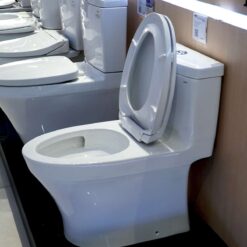 Công nghệ xả xoáy Tornado mạnh mẽ trên bàn cầu TOTO MS889DRT2